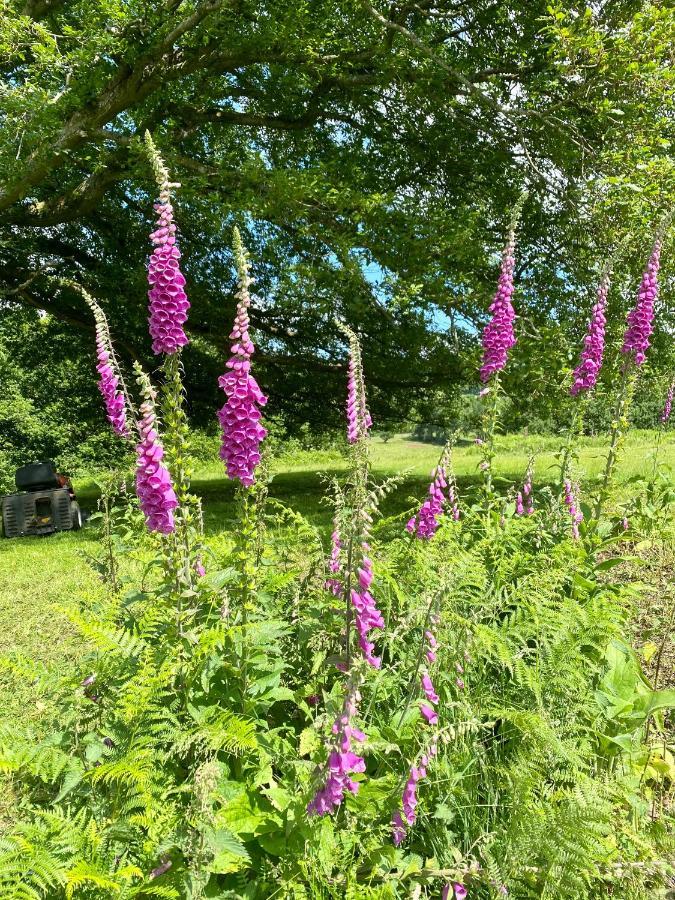 Hotel Black Mountains Glamping Abergavenny Esterno foto
